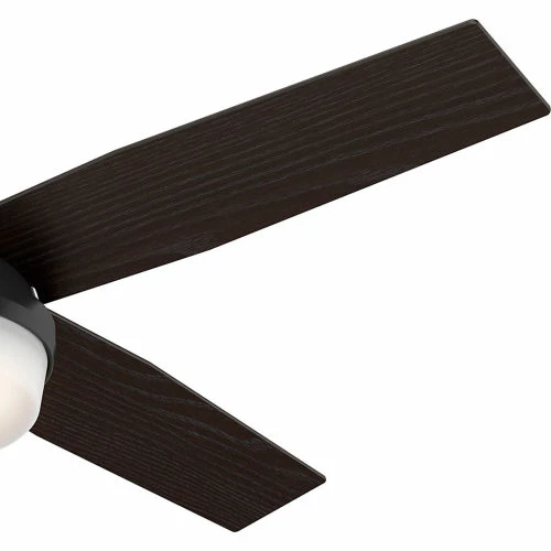 Hunter Fan 52" Dempsey Damp Ceiling Fan with Light and Handheld Remote 59251 - Matte Black - Image 6