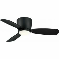 Fanimation Embrace - 44 inch - Black with Black Blades and LED Light Kit